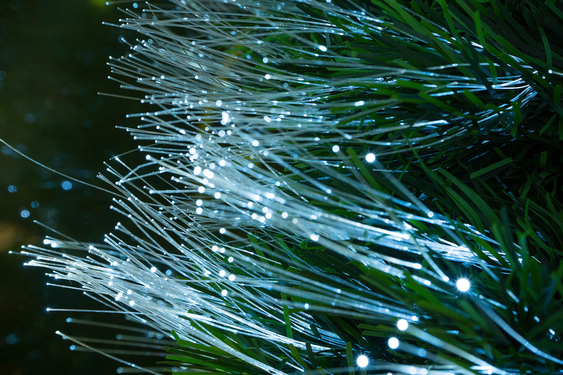 Best Fibre Optic Christmas Trees: Tradition Meets Technology