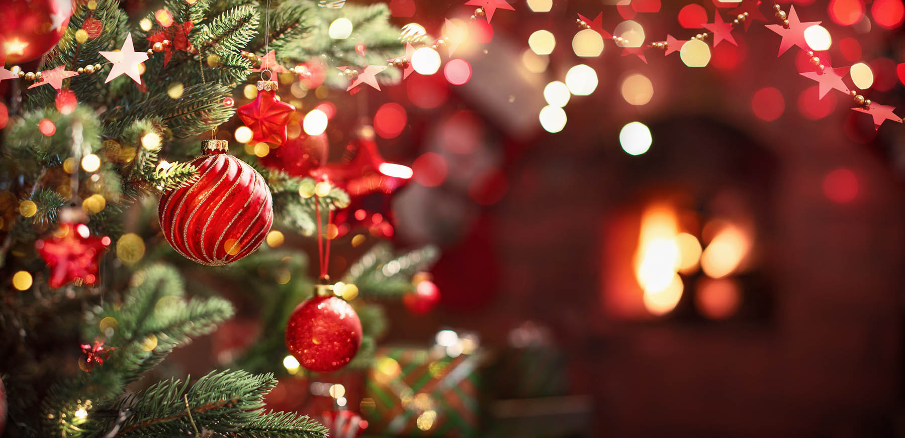 Decorating Mastery: Selecting the Best Christmas Tree Decorations